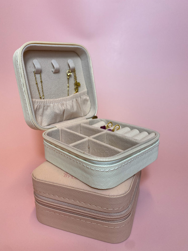 Travel & Storage case