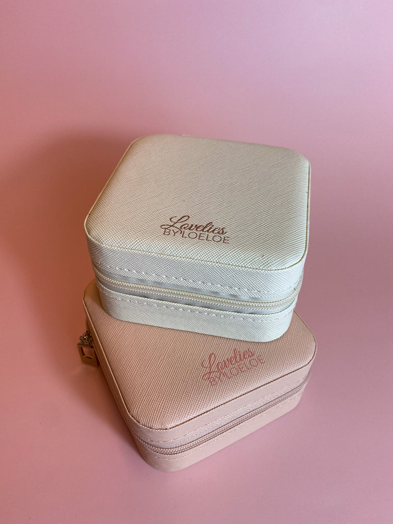 Travel & Storage case